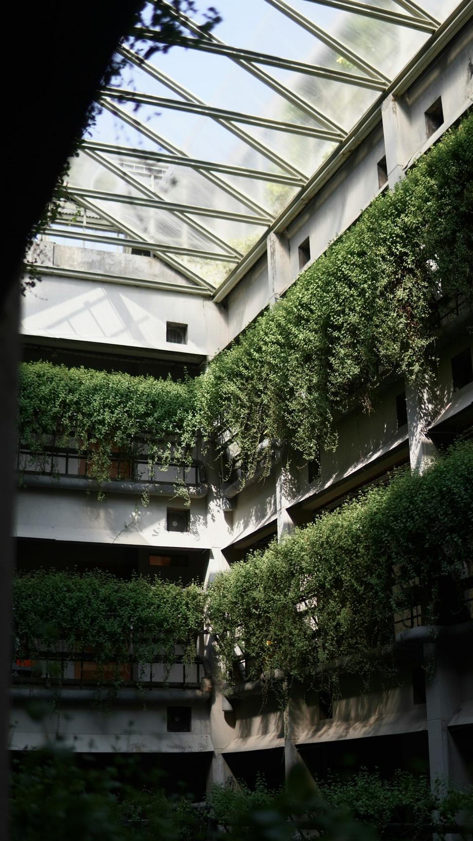 Rooftop garden space