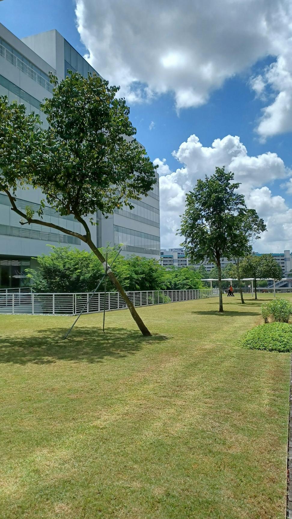 Courtyard Design
