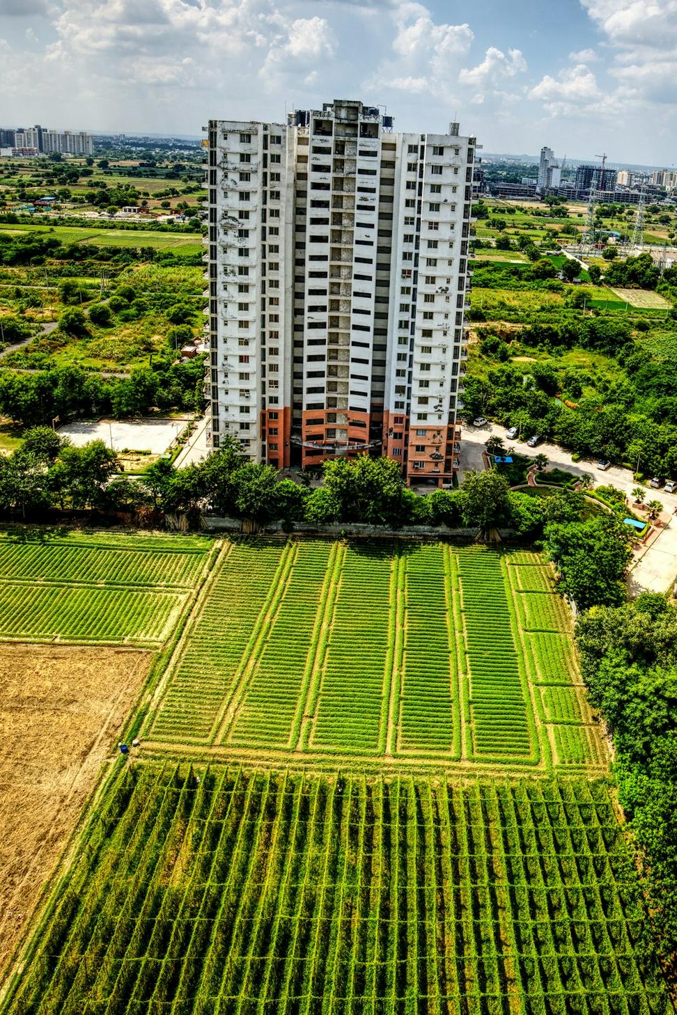 Eco Building