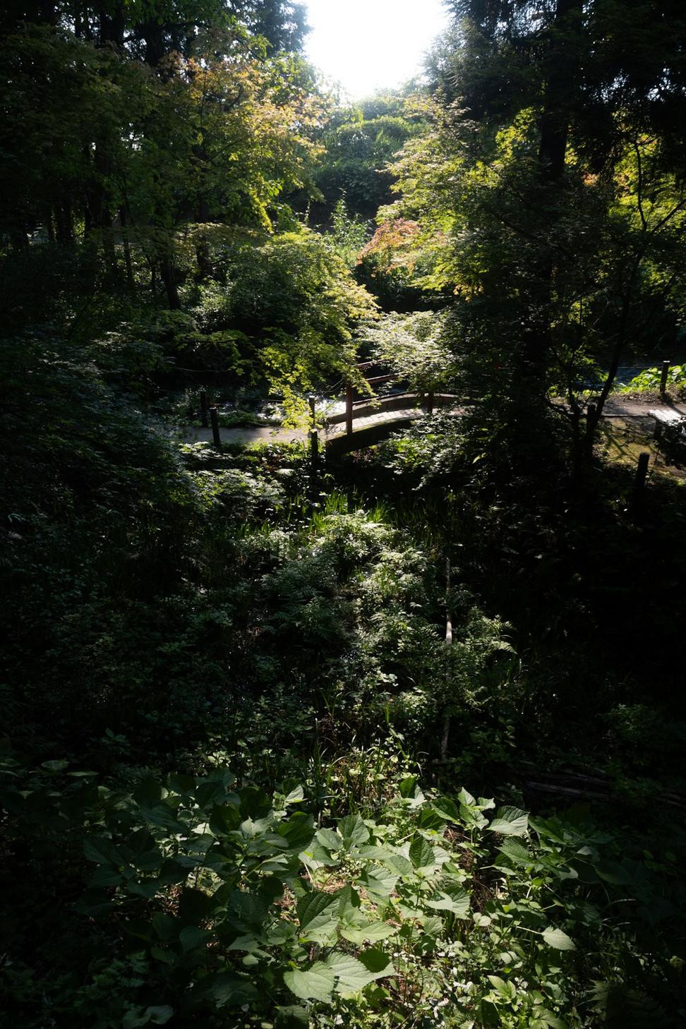 Terraced garden integration